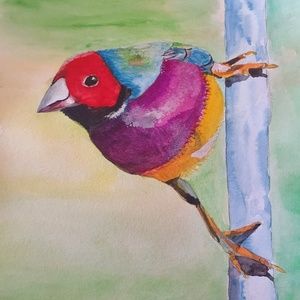 Meet your Posher, Christine